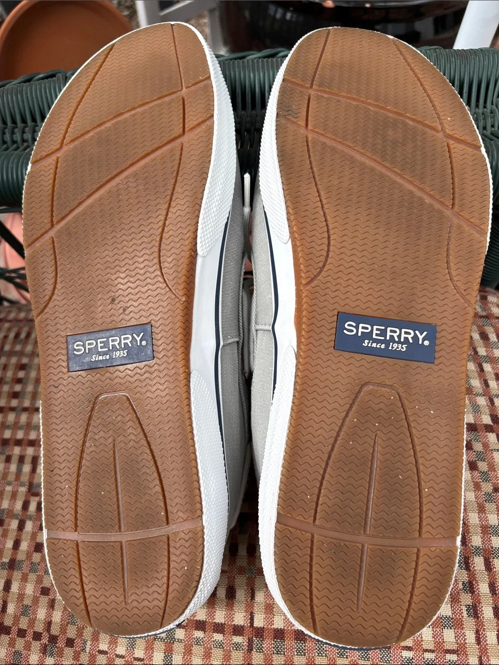 Sperry casual canvas